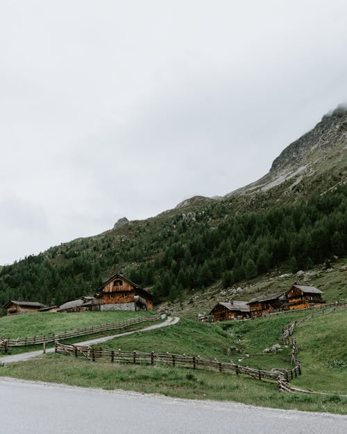 Kostnadsfri bild av bergen, gröna träd, landsbygden