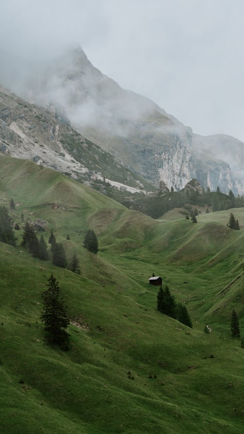 Imagine de stoc gratuită din ceață, fotografiere verticală, geologice