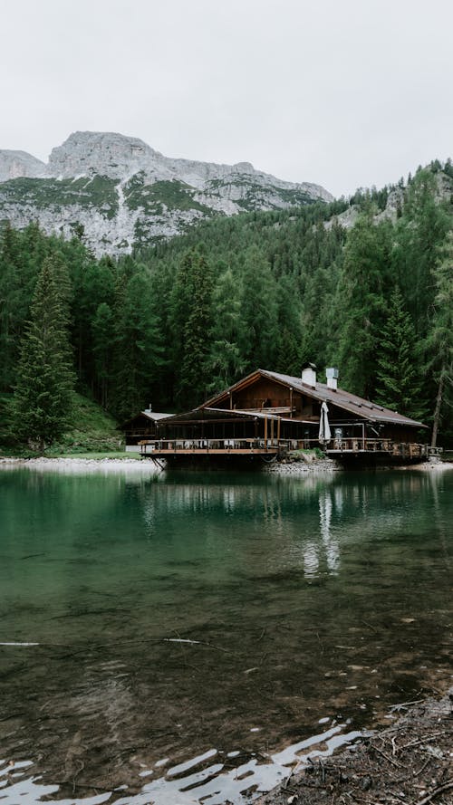 Immagine gratuita di alberi verdi, cabina, casa di legno