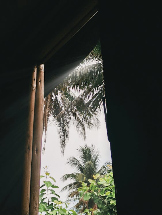 Бесплатное стоковое фото с луч солнца, провинция, смотрит в окно