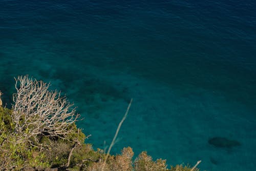 Základová fotografie zdarma na téma modrá, moře, oceán