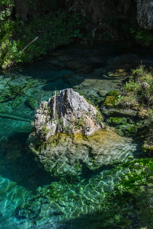 Mossy Rocks on Body of Water