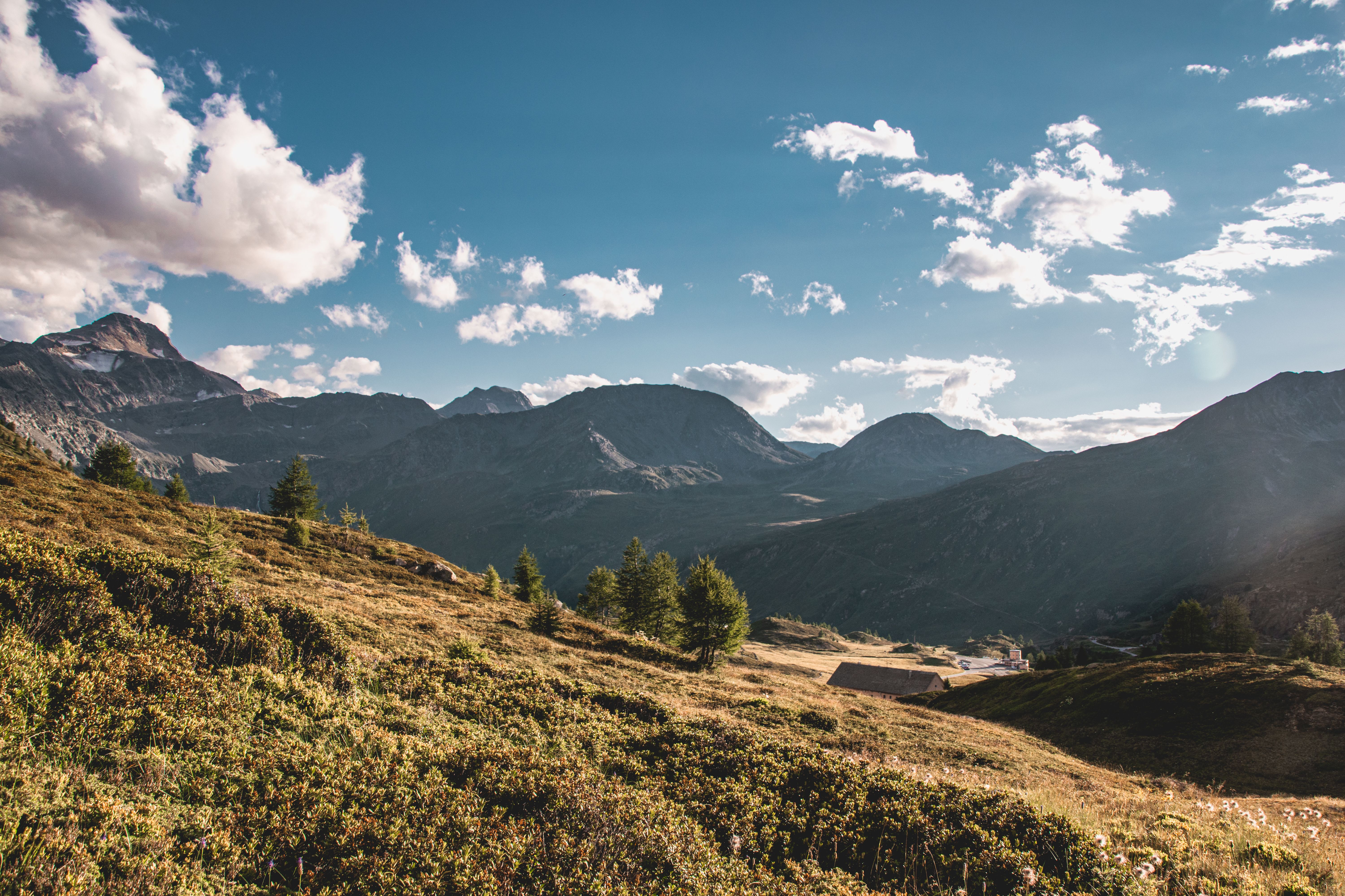 The high country at first light