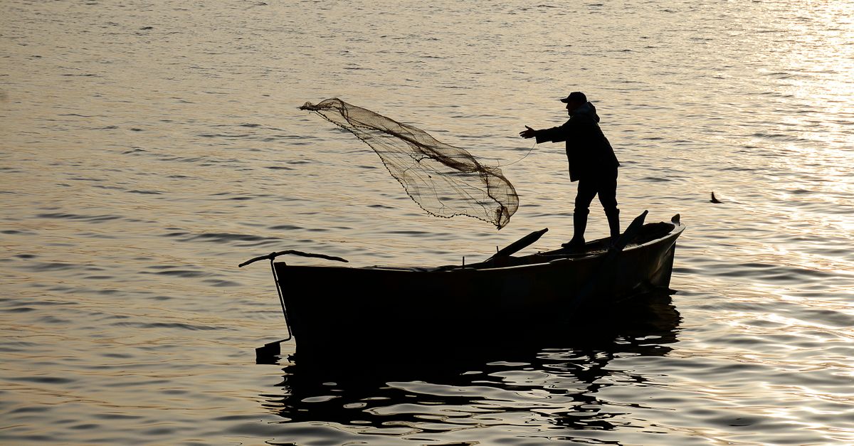¿Dónde aprender pesca tradicional con comunidades locales en El Salvador? ¿Dónde aprender pesca tradicional con comunidades locales en El Salvador?