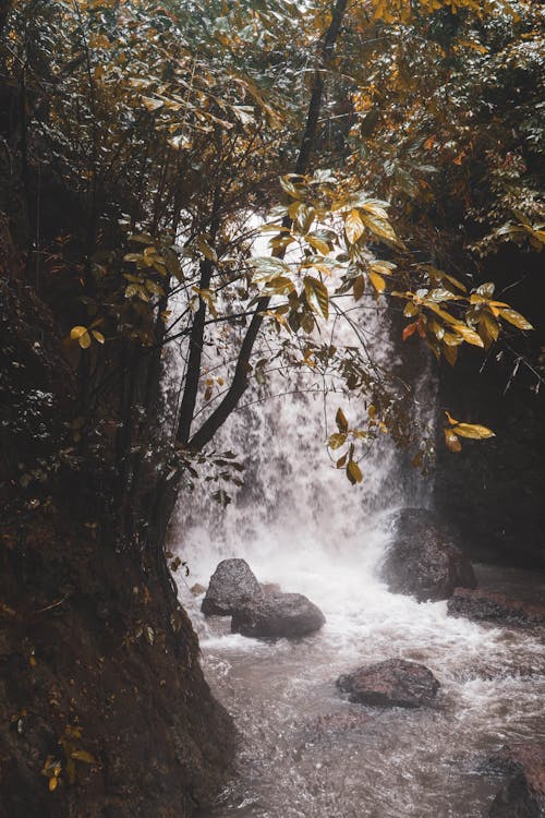 бесплатная Бесплатное стоковое фото с вертикальный выстрел, вода, водопад Стоковое фото