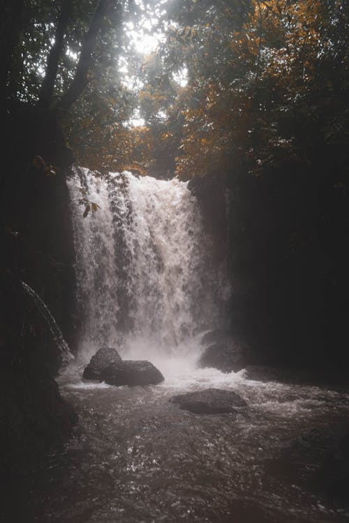 Free A Waterfall in a Forest Stock Photo