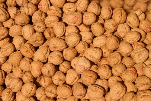 Free A large collection of unshelled walnuts, perfect for healthy cooking or snacking. Stock Photo