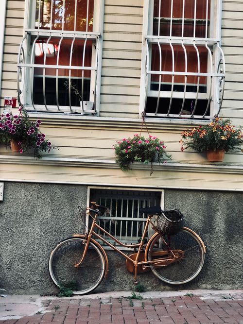 Free A vintage bicycle parked against a wall adorned with vibrant hanging plants and windows. Stock Photo