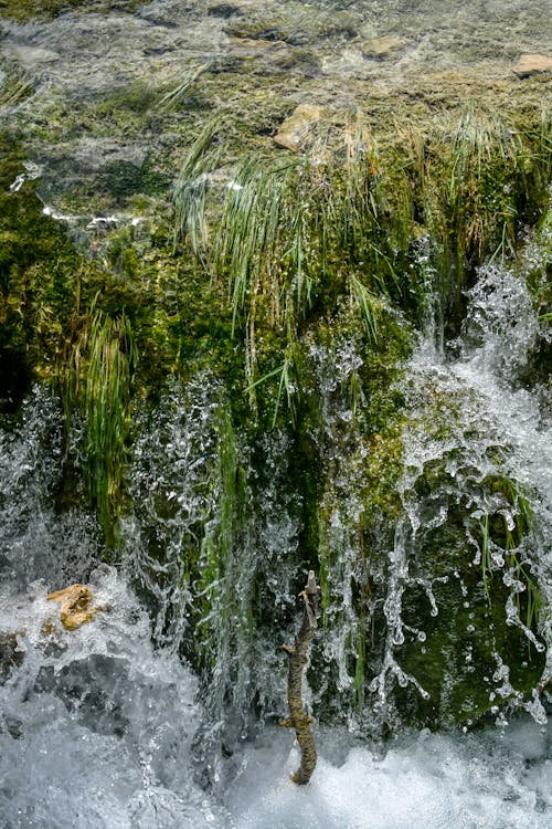 Free Plitvice waterfall with cascading foamy water Stock Photo