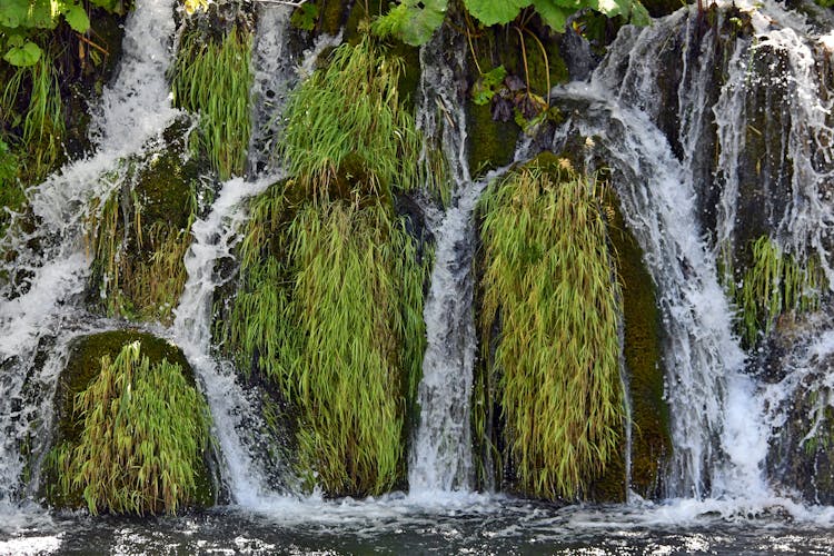 Photo Of Waterfalls With Grass