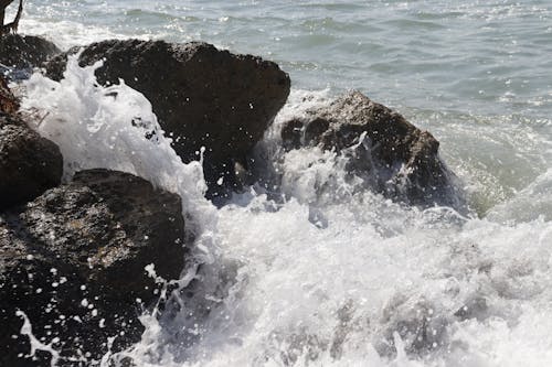 물을 튀기는, 바다, 바다 거품의 무료 스톡 사진