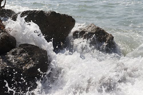 Fotos de stock gratuitas de chocar, dice adiós, dice hola