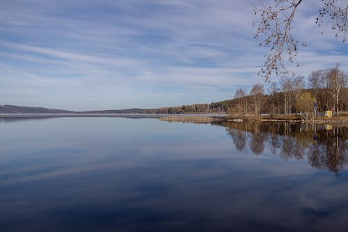 Body of Water Near Trees Under the Sky