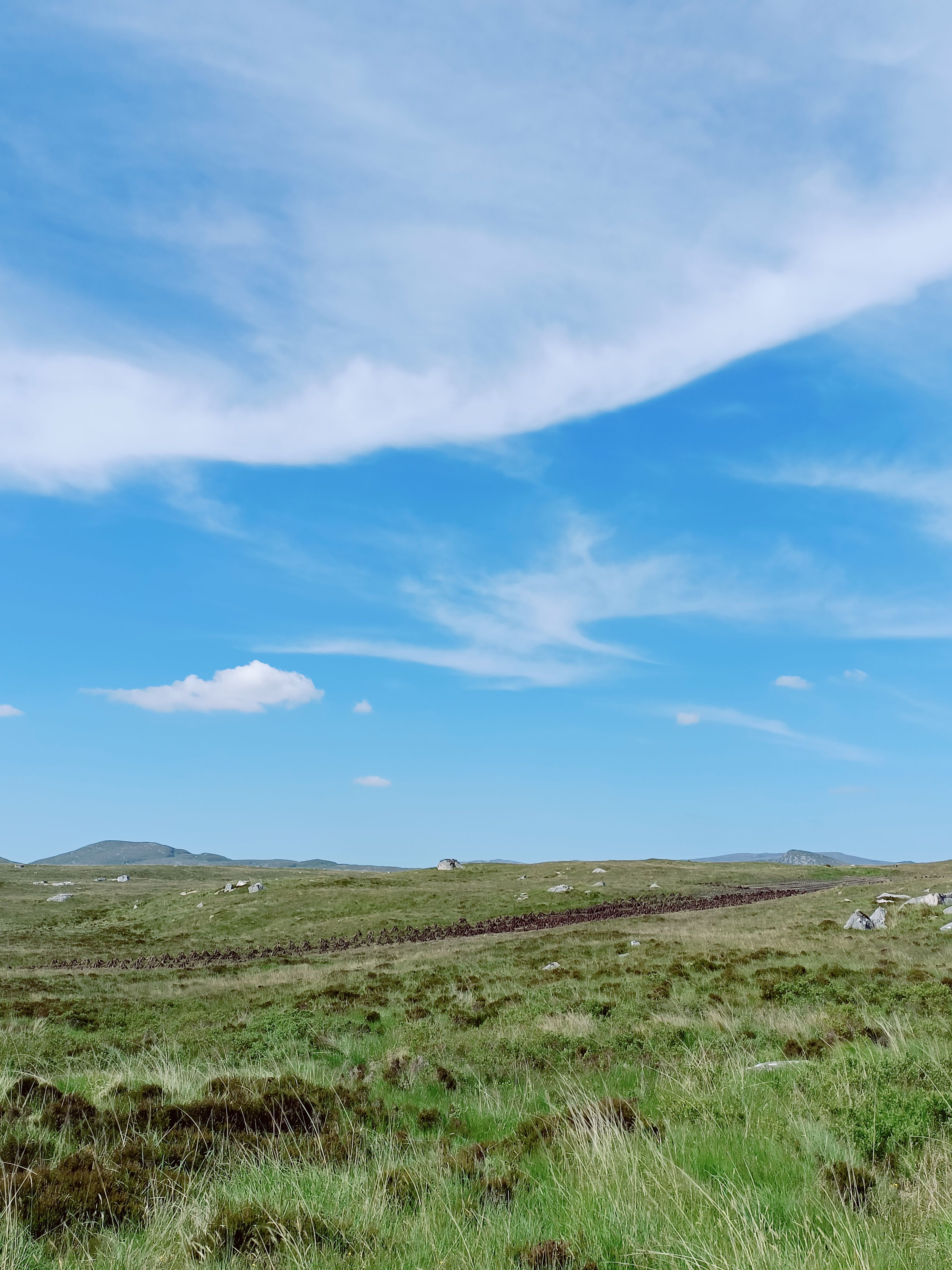 Field with Grass Under Blue Sky and White Clouds · Free Stock Photo