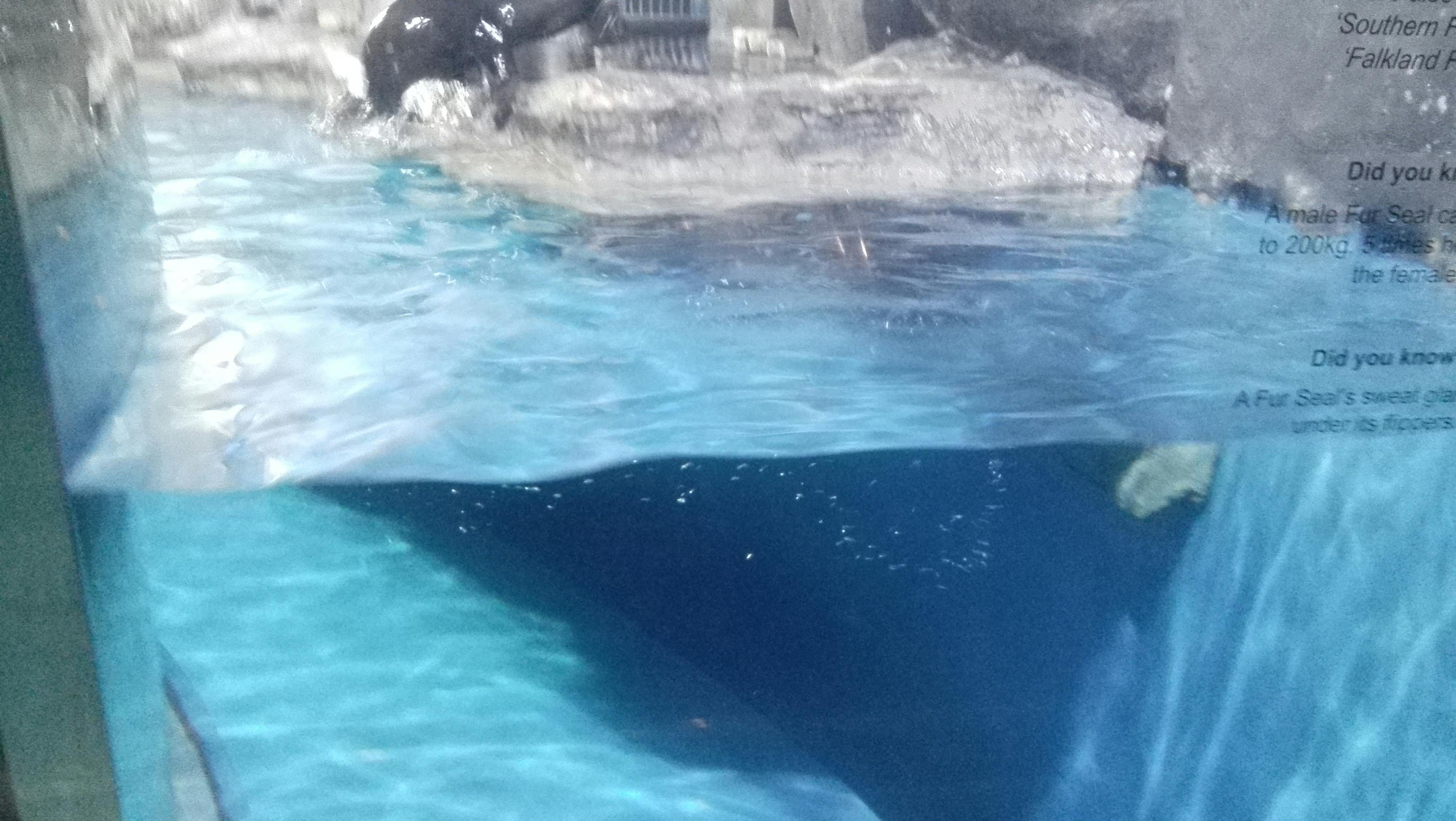 Water Damage: The 72-Hour Window That Determines Everything