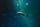 tuna fish