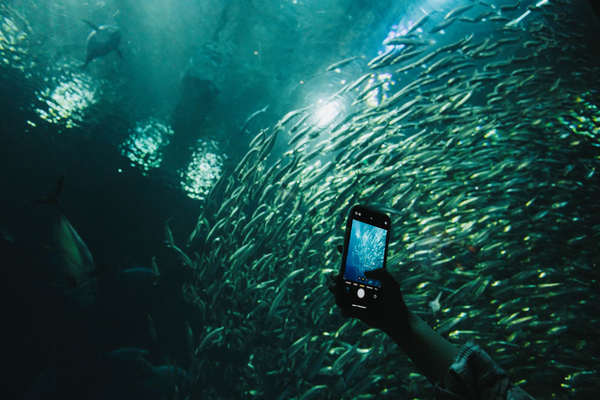 Underwater at North Channel Wall