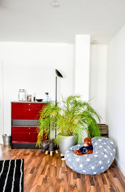 Interior Design of a Room with Cabinet and Indoor Plant Beside a Bean Bag Chair