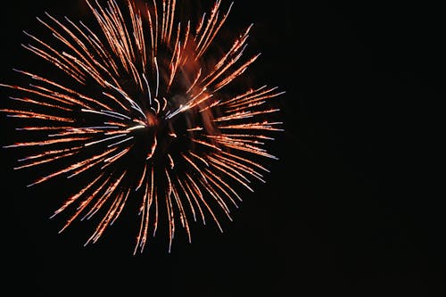 A Fireworks Display in the Night Sky