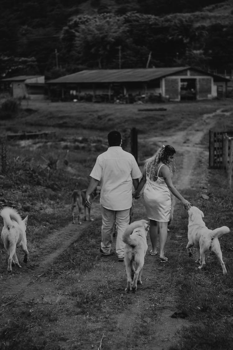 Back View Of A Couple Walking With Dogs