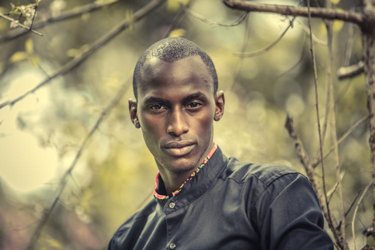 Man In Black Button Up Shirt Standing Near Brown Tree