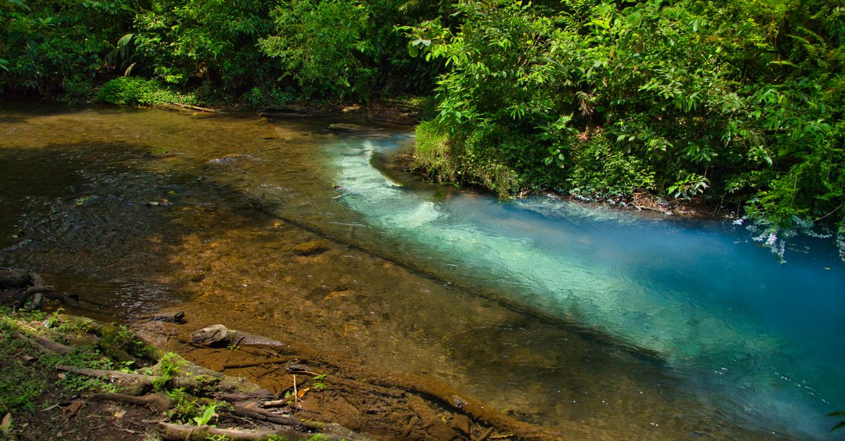 Costa Rica Rio Celeste : Guide Voyage 2026