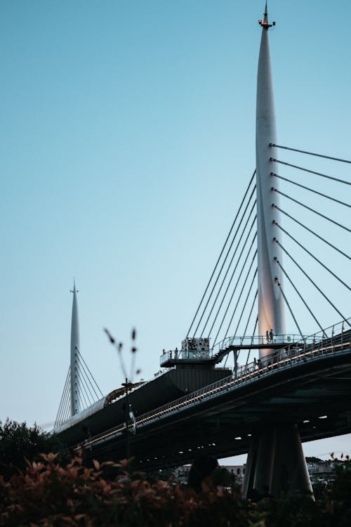 Foto stok gratis baja, jembatan, jembatan gantung