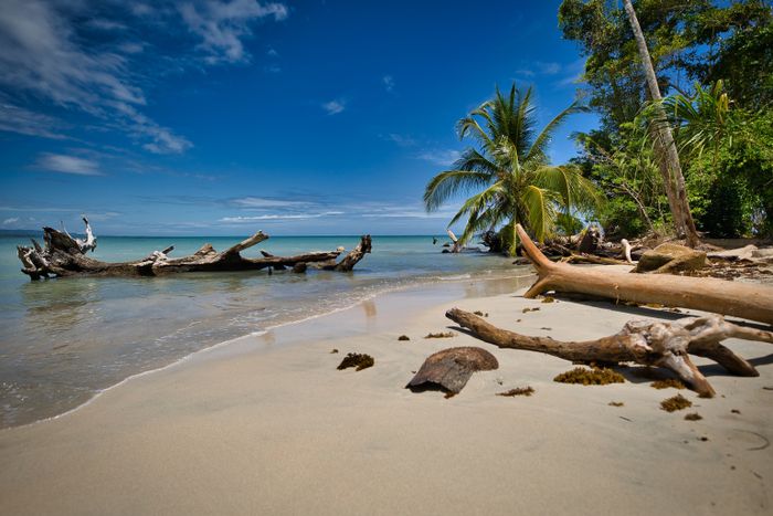 Red Frog Beach & Isla Bastimentos