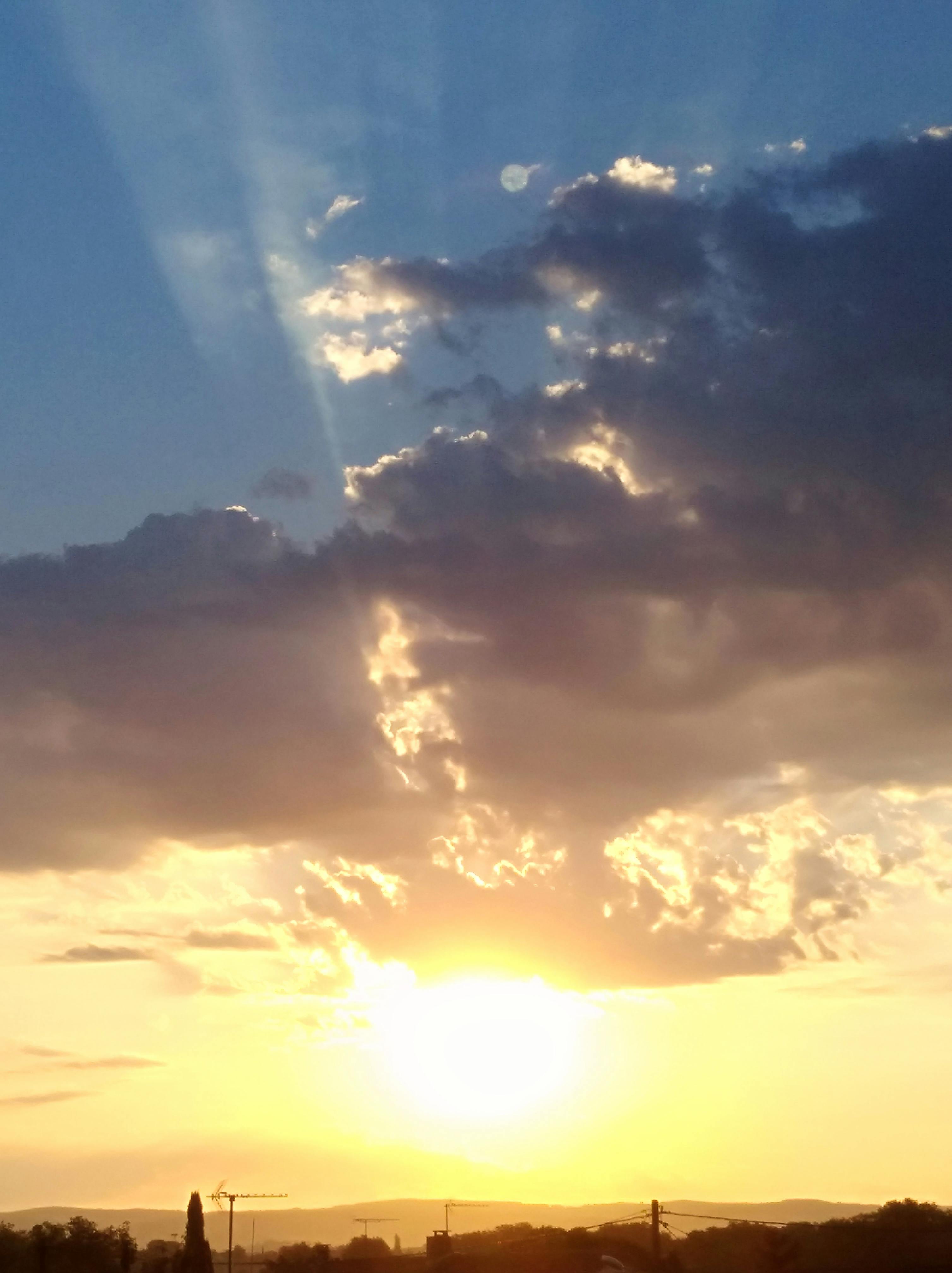 Free stock photo of energizing morning light, morning light, optimistic