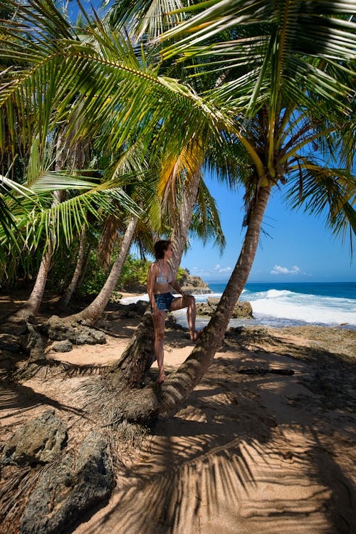 A Woman in a Bikini Top Standing on a Palm Tree