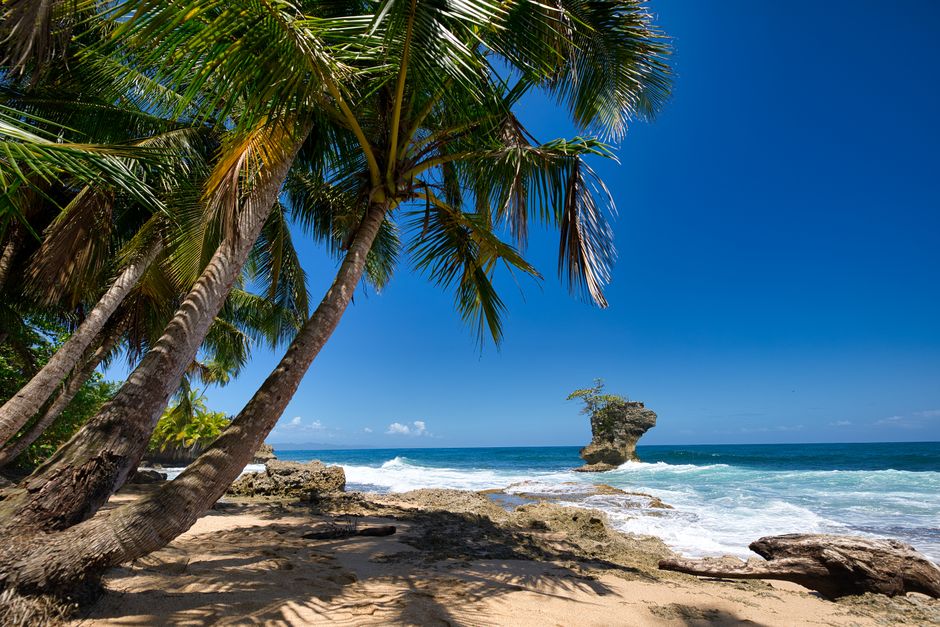Plage caraïbe du Costa Rica avec cocotiers et îlot tropical au large
