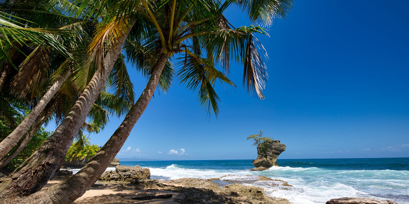 Palm-lined tropical beach in Costa Rica with clear water