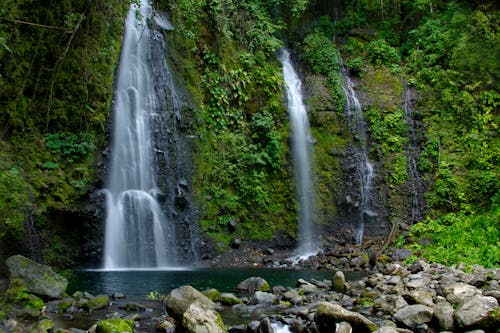 Water Falls in the Middle of the Forest