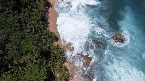 Aerial View of a Beach