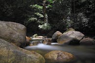 一条宁静的森林小溪流过绿树环绕的苔藓岩石