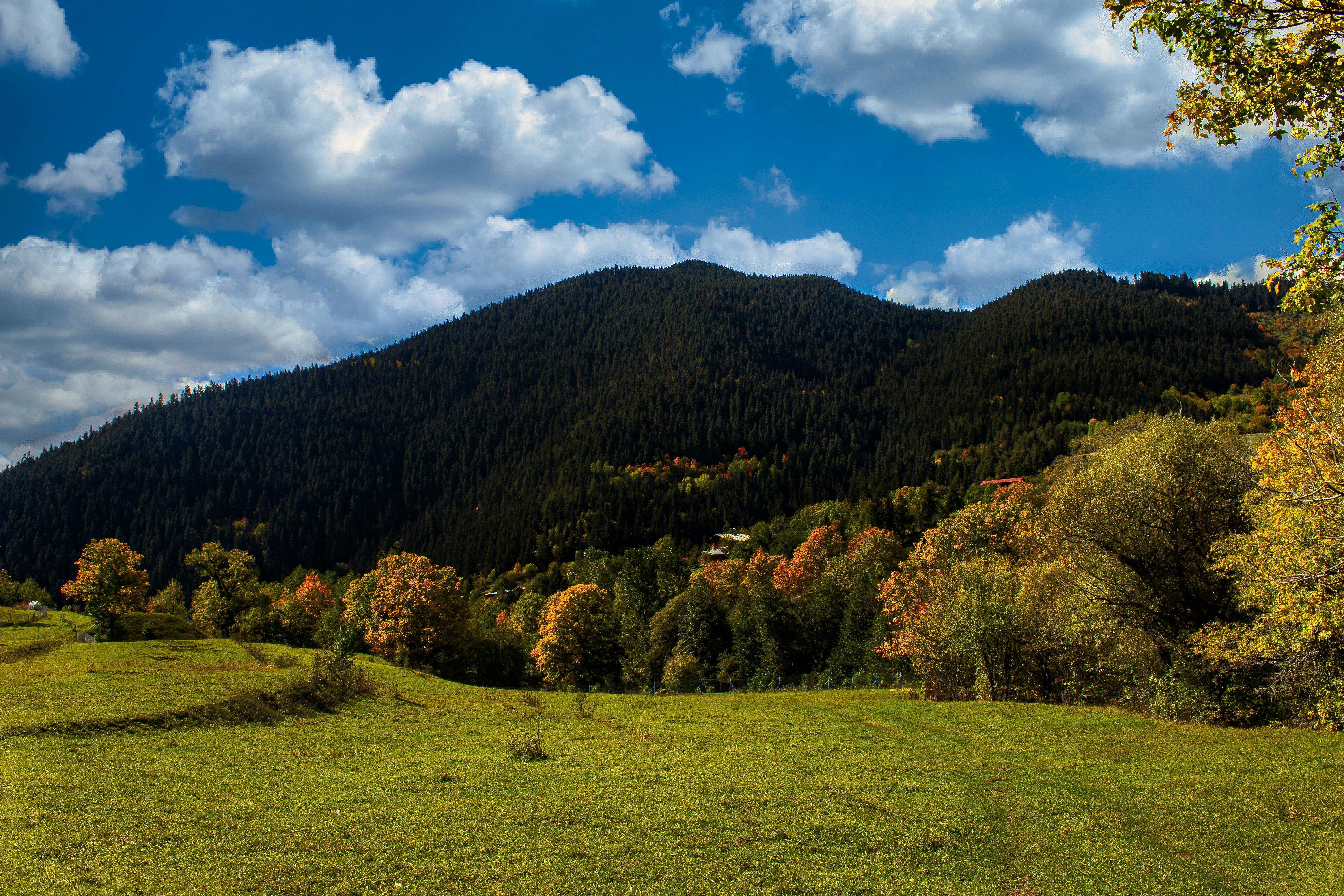 Green Grass Field Near Mountain Under Blue Sky · Free Stock Photo