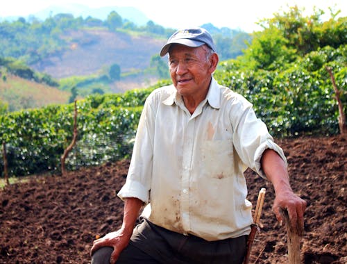 Foto stok gratis agrikultura, bidang, laki-laki