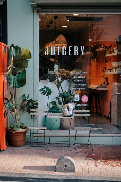Free A cozy juicery storefront with potted plants, outdoor seating, and a cat sitting by the entrance. Stock Photo