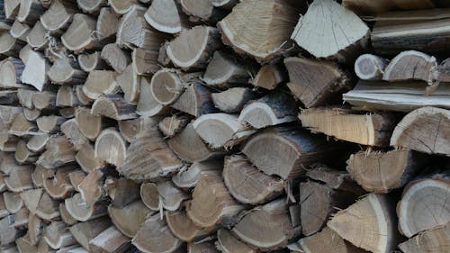 Бесплатное стоковое фото с грубый, дерево, древесина