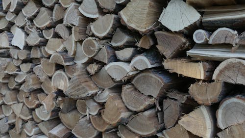 Close Up Photo of Woodpile