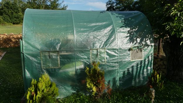 Green Plants and Trees Beside Green Tent