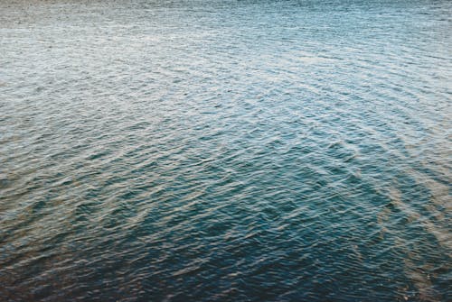 水域, 海, 海洋の無料の写真素材