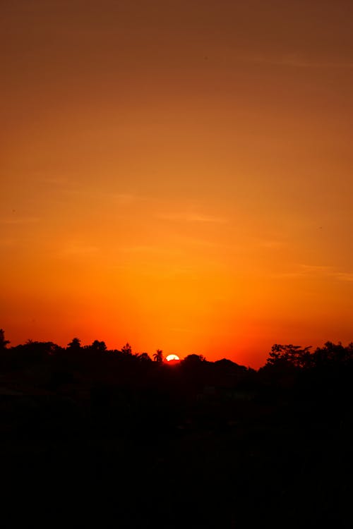 Free stock photo of africa, beautiful golden sunset, sunset