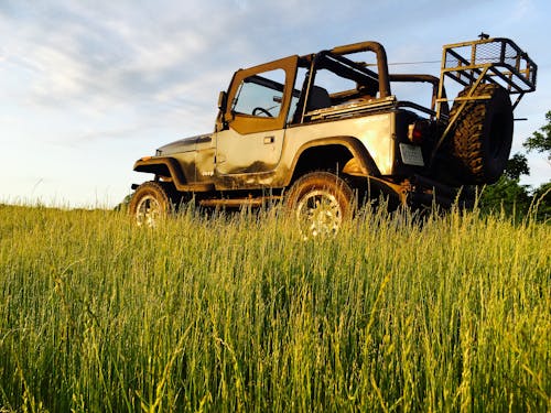 Gratis arkivbilde med 4x4, åker, bil