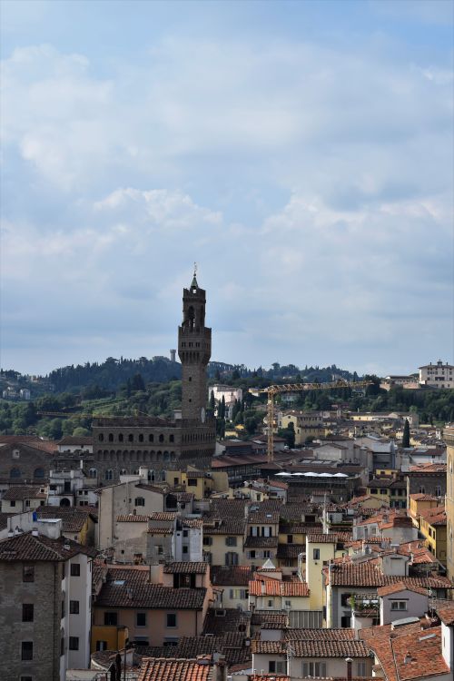 Free Capture of Florence skyline featuring Palazzo Vecchio amidst a backdrop of Tuscan hills. Stock Photo