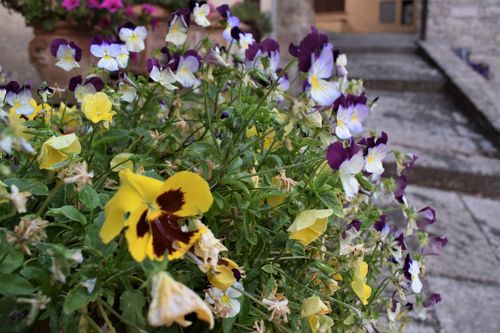 Free TODI 6 Stock Photo