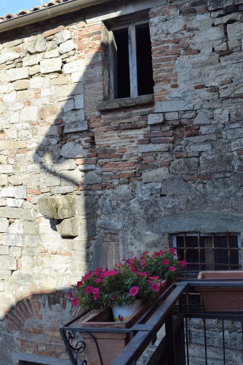 Free TODI 12 Stock Photo