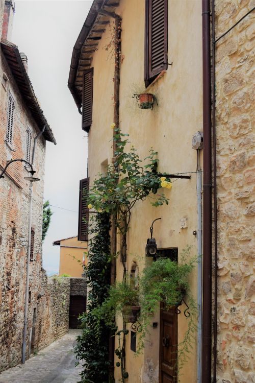Free TODI 16 Stock Photo