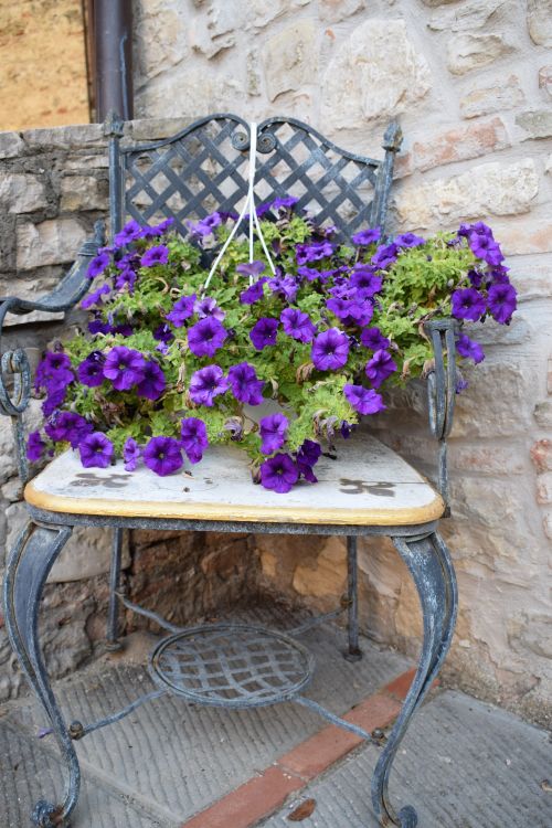 Free TODI 10 Stock Photo