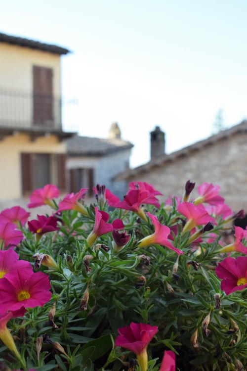 Free TODI 11 Stock Photo